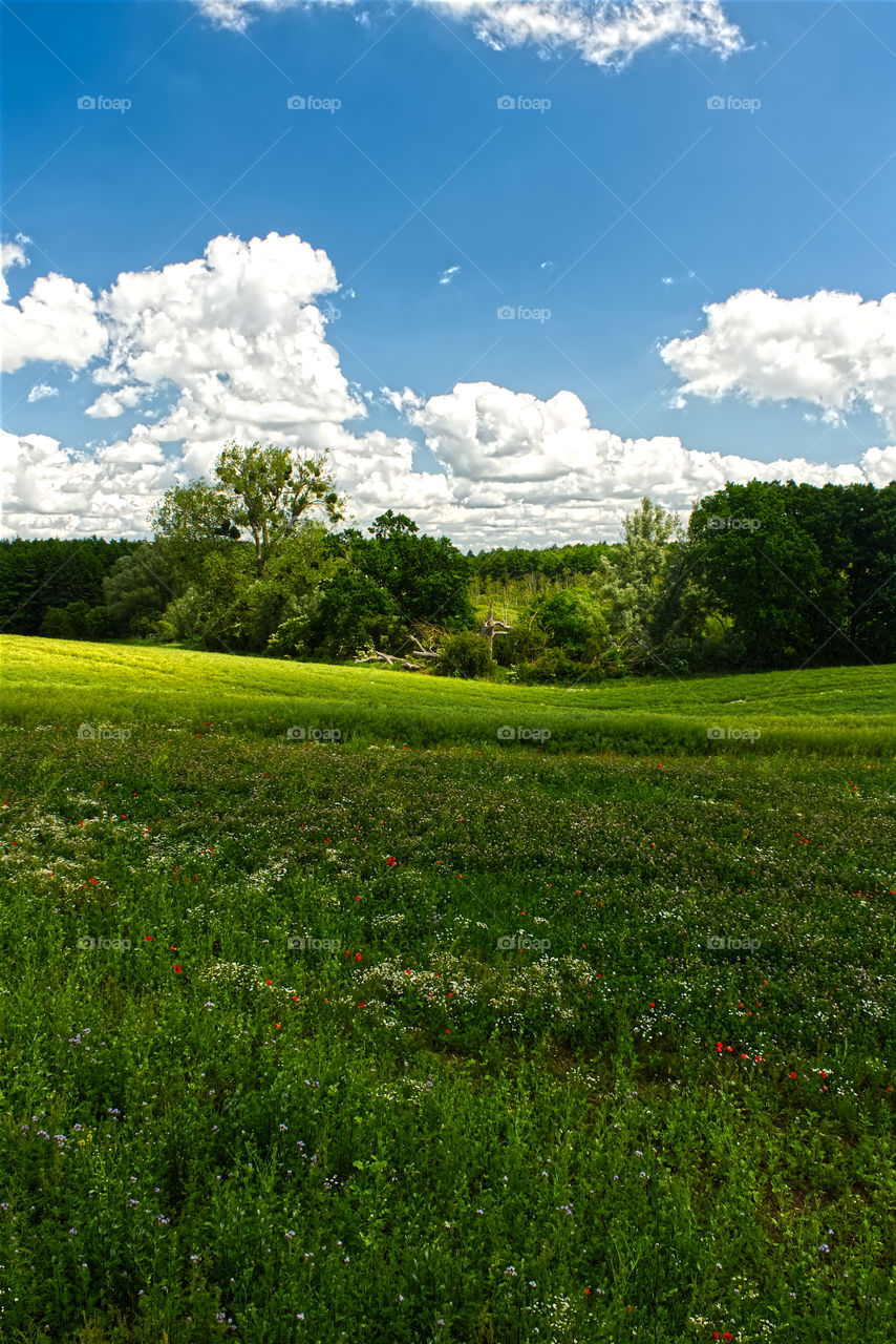 Dramatic landscape