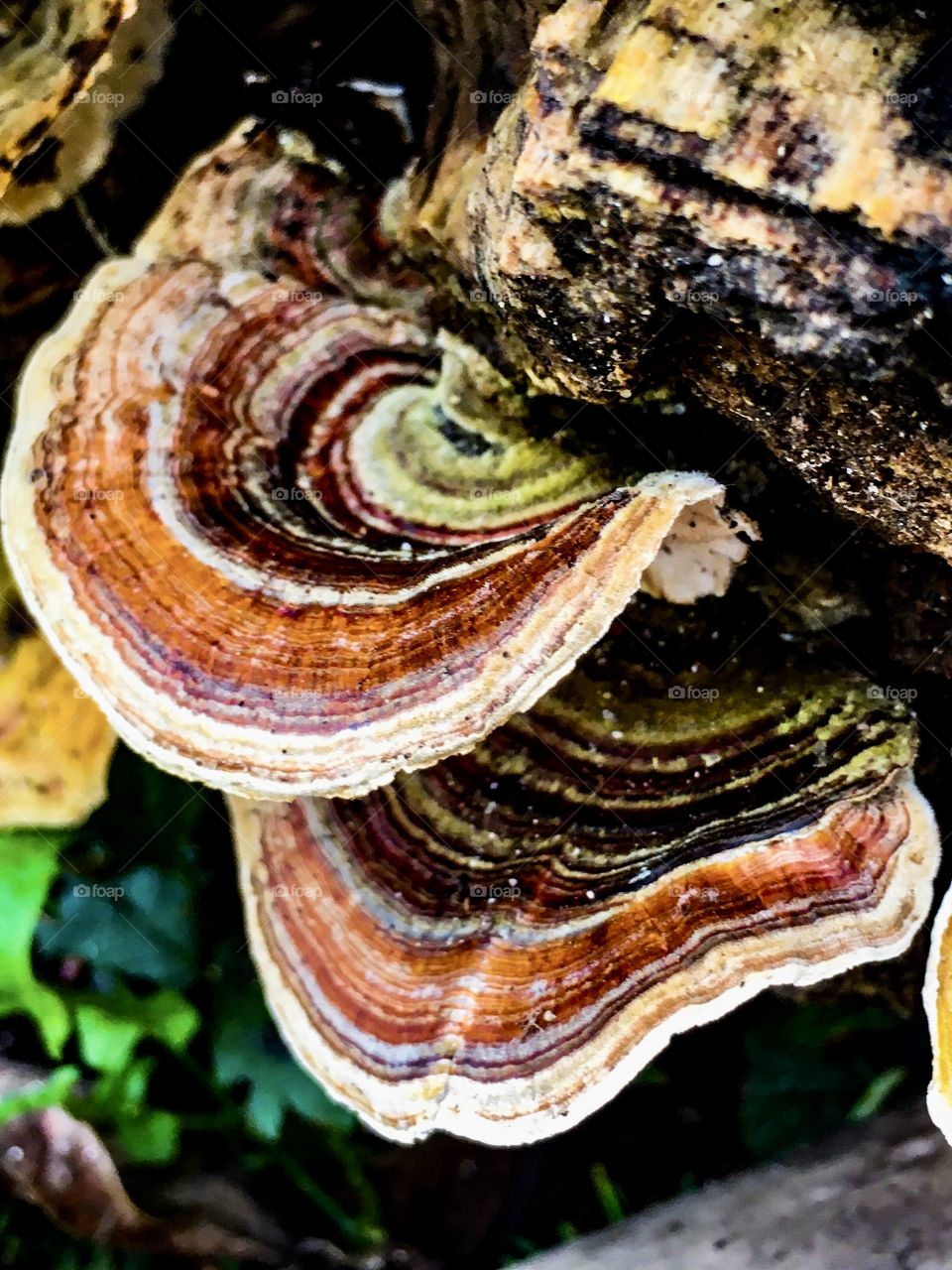 Just Have to Look Down