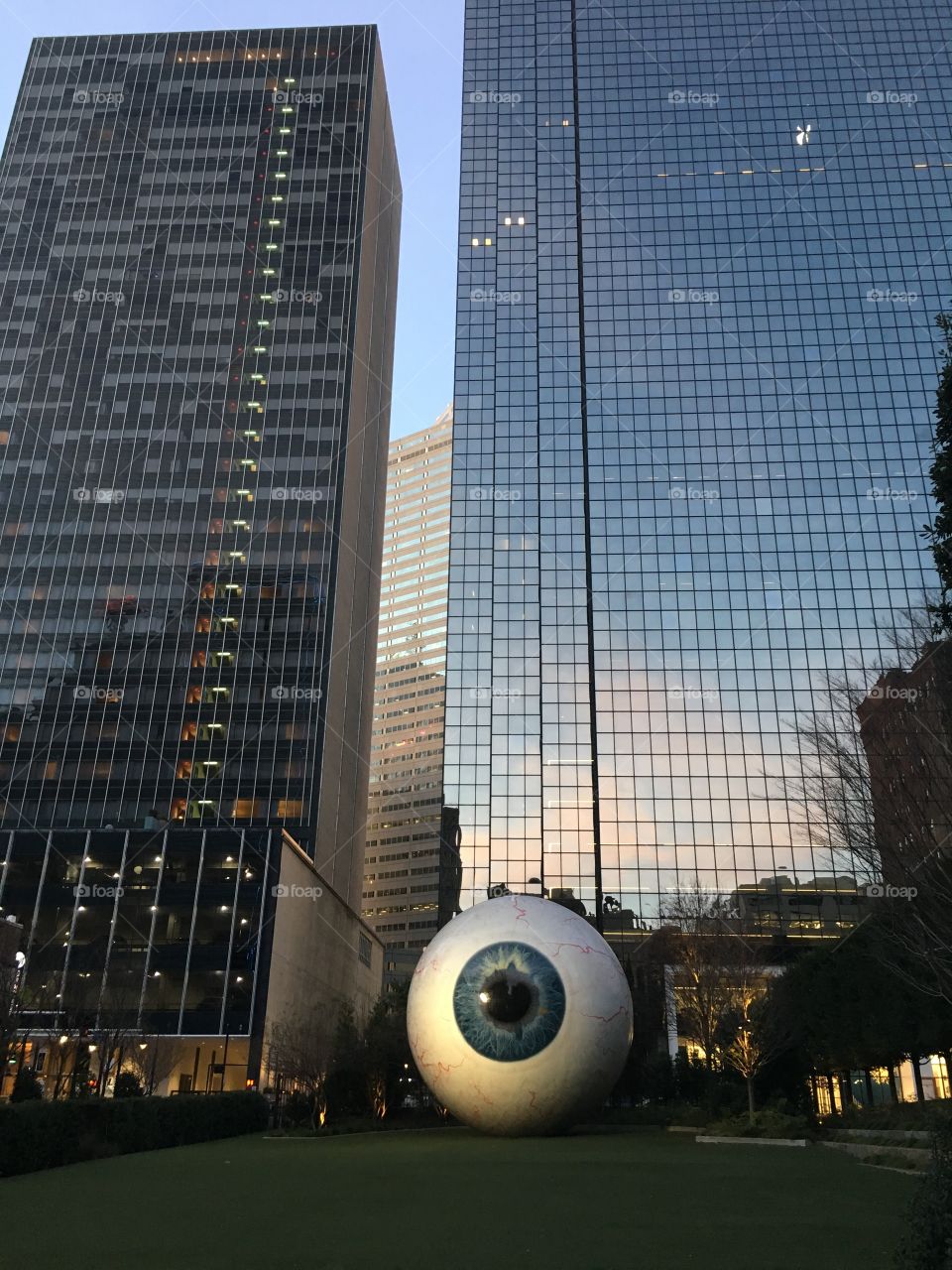 Dallas Eye