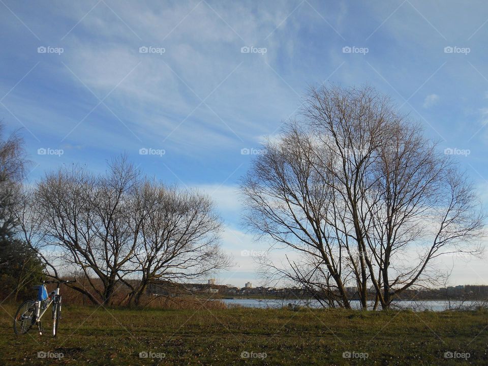 beautiful nature landscape trees blue sky background autumn time