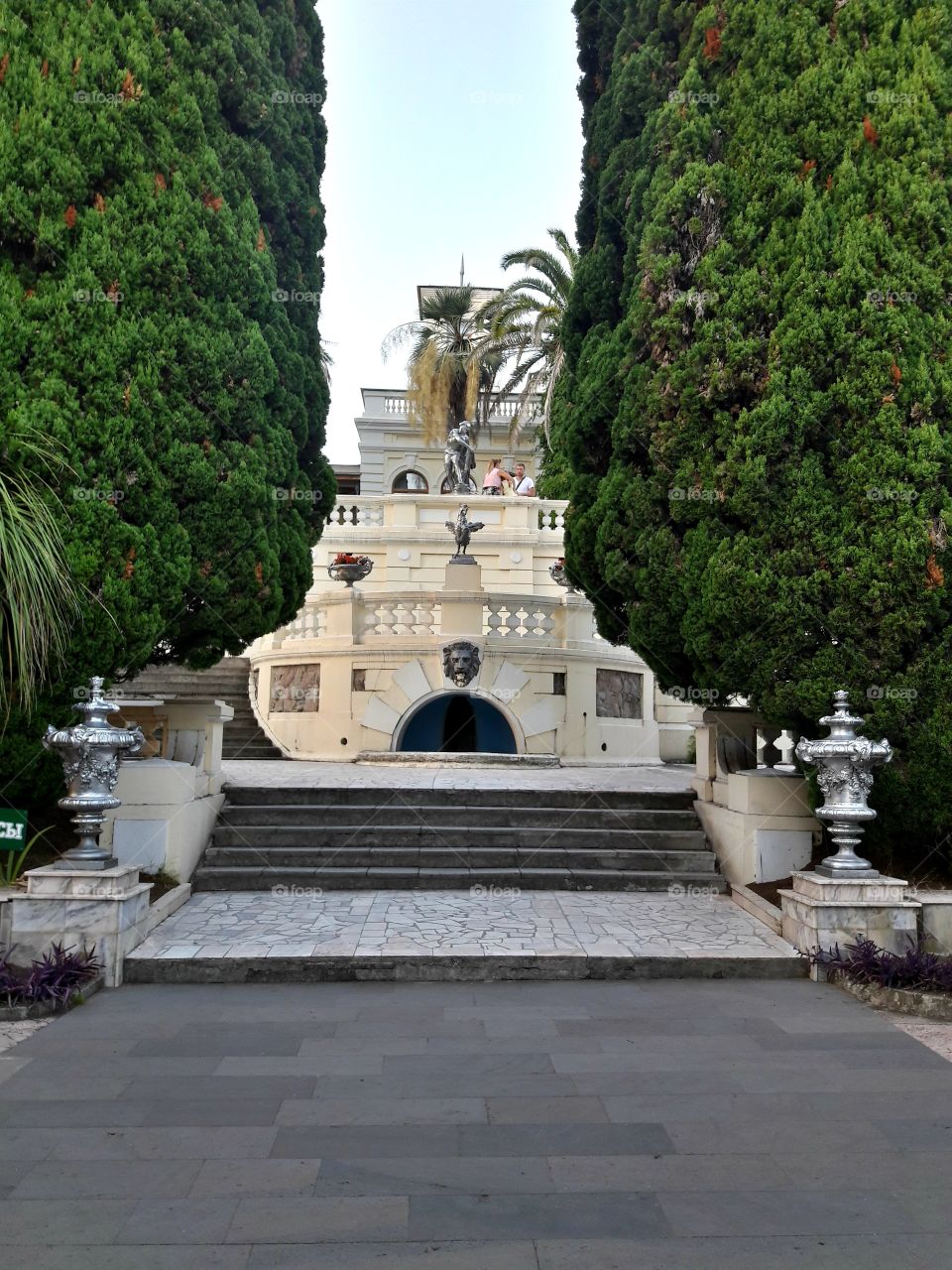 Huge cypress trees and a staircase with a fountain