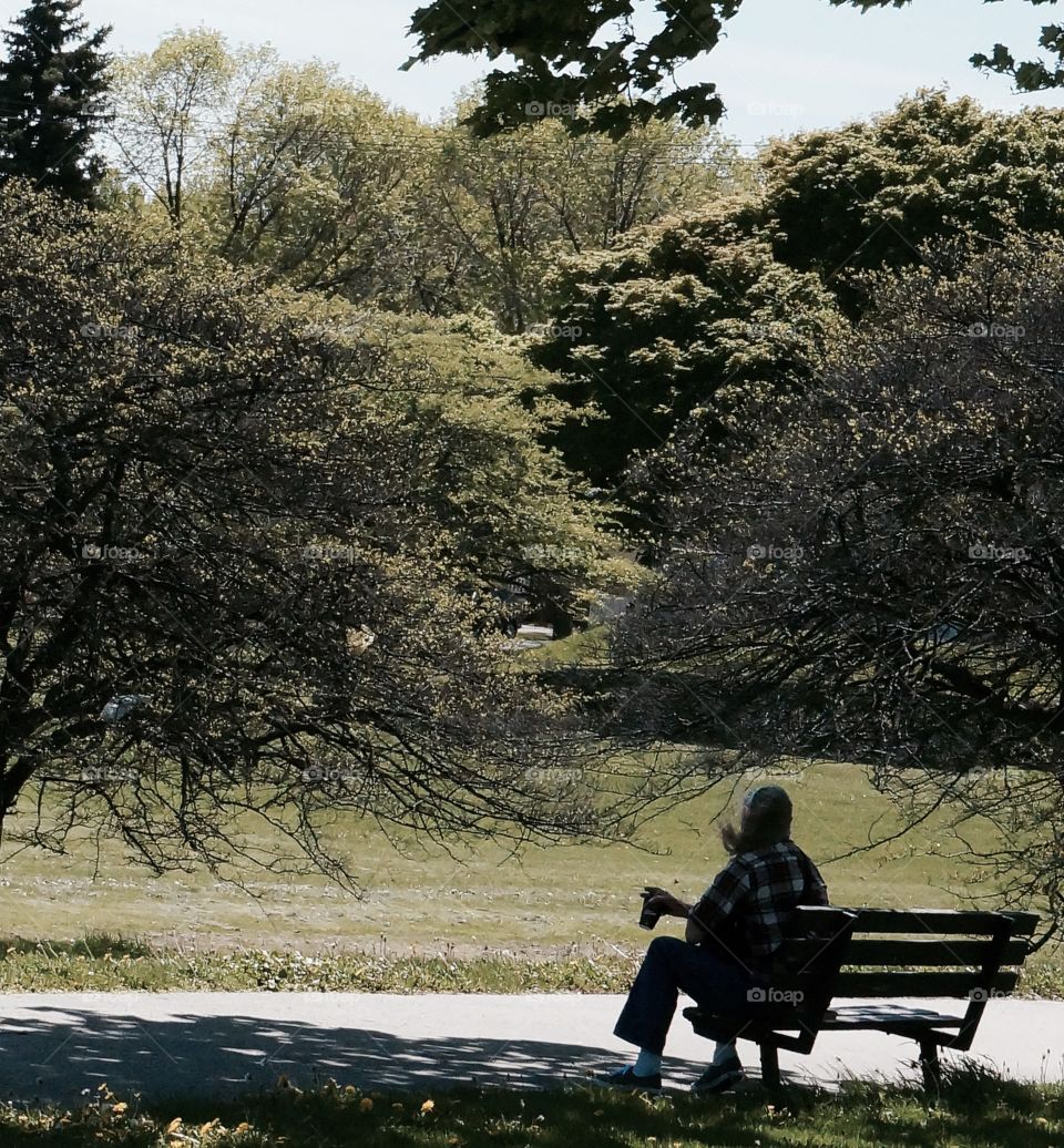 People. Coffee on a Park Bench