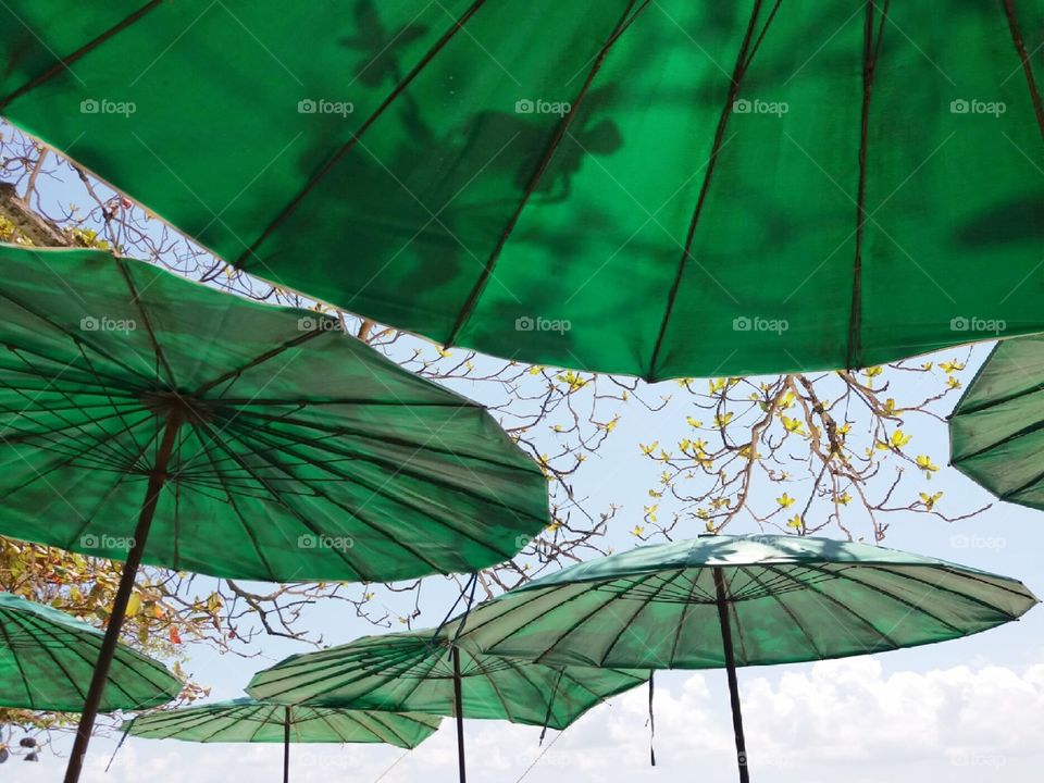 Green traditional umbrellas in a beautiful light blue sky
