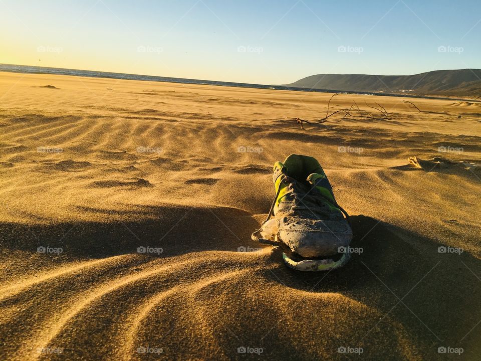 Nature makes a masterpiece. Of human waste