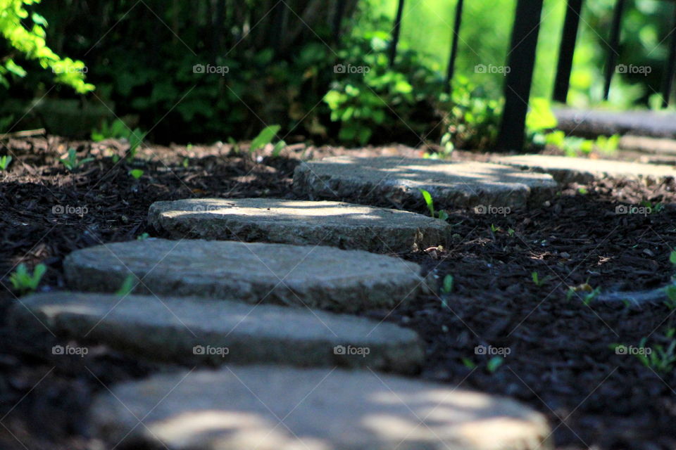 This is a picture of a path made from stepping stones.