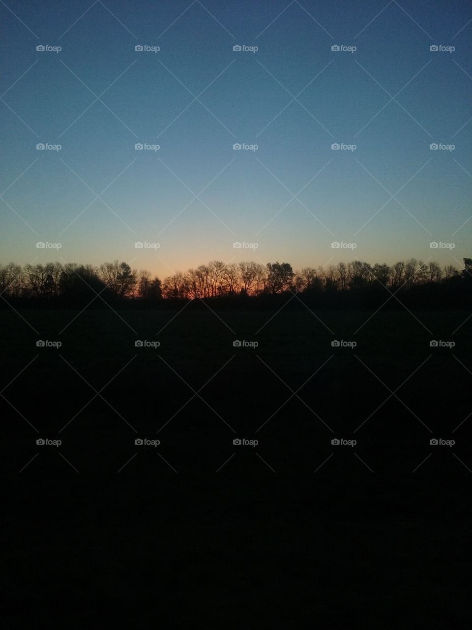 sun comes up over trees