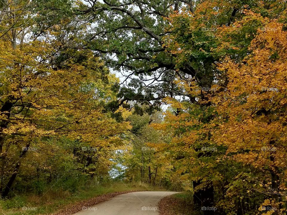 Driving the Back Roads and enjoying everything around us.  The fall season adds beautiful color.