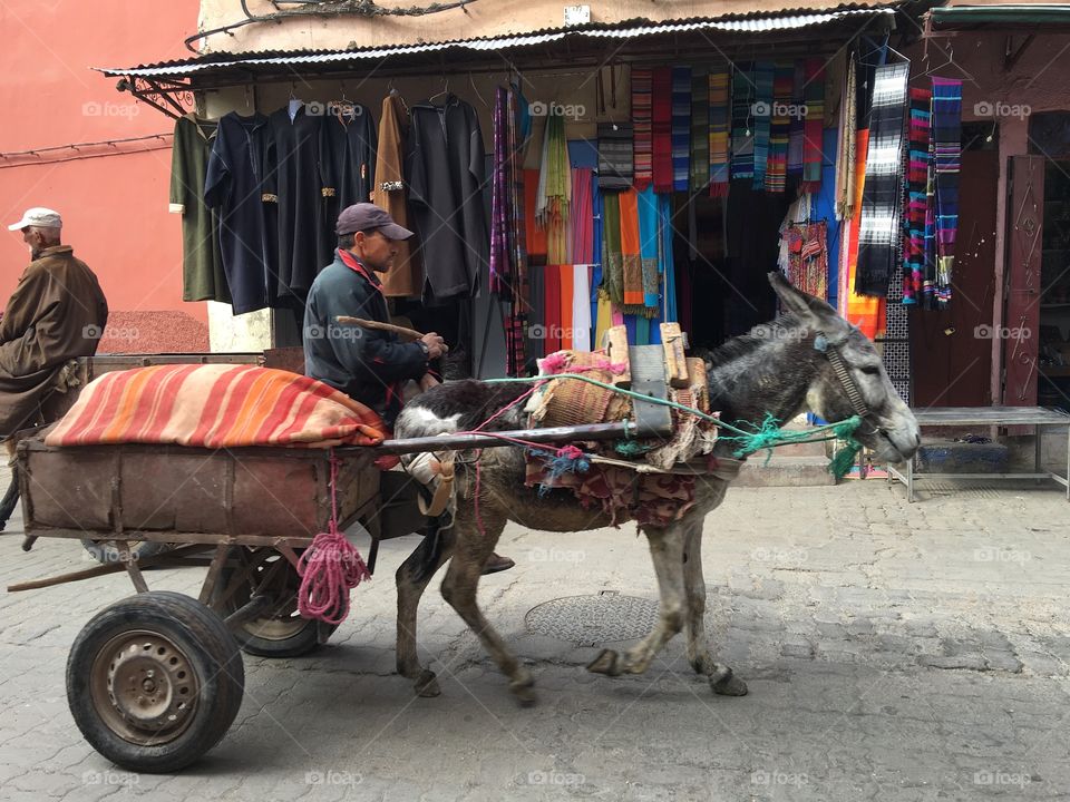 Donkey and cart