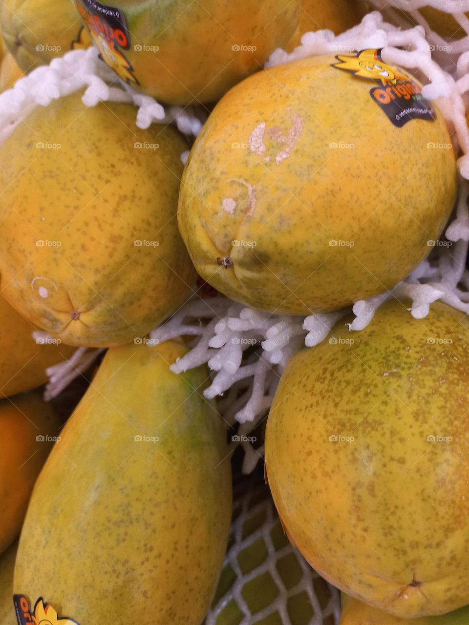 O Mamão papaya, possui grande quantidade de fibras, rico em vitaminas A, C, K, E, complexo B, cálcio, potássio, magnésio e fósforo