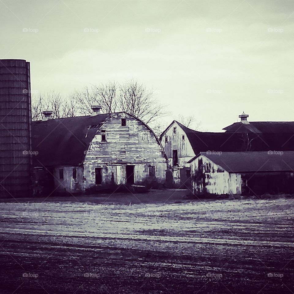 barn