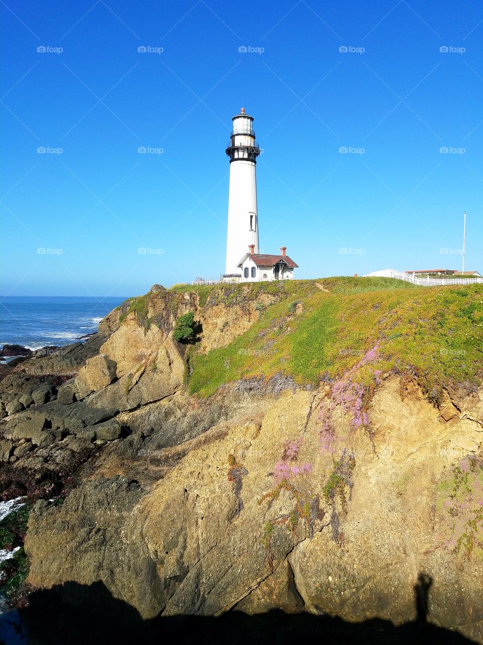 Pigeon Point Lighthouse