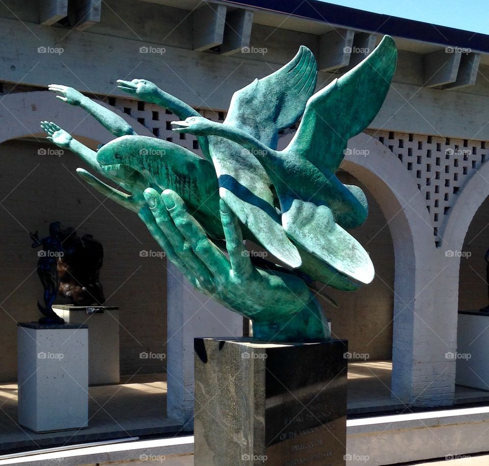 Hand with geese and man