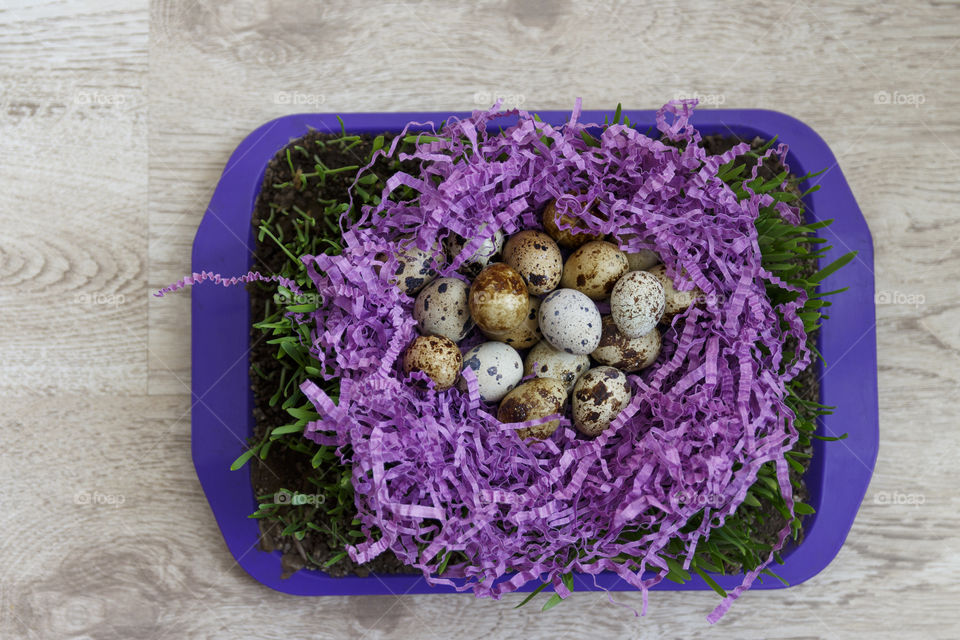 Eggs in decor on the green grass  purple