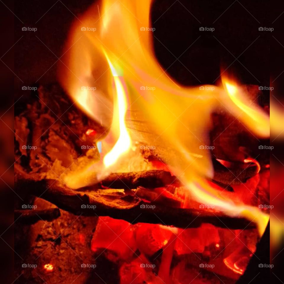 Fire always the fruit of winter