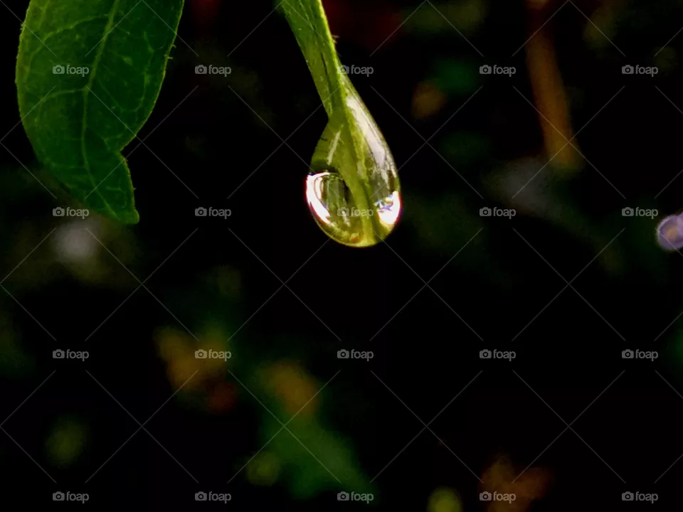 water drop