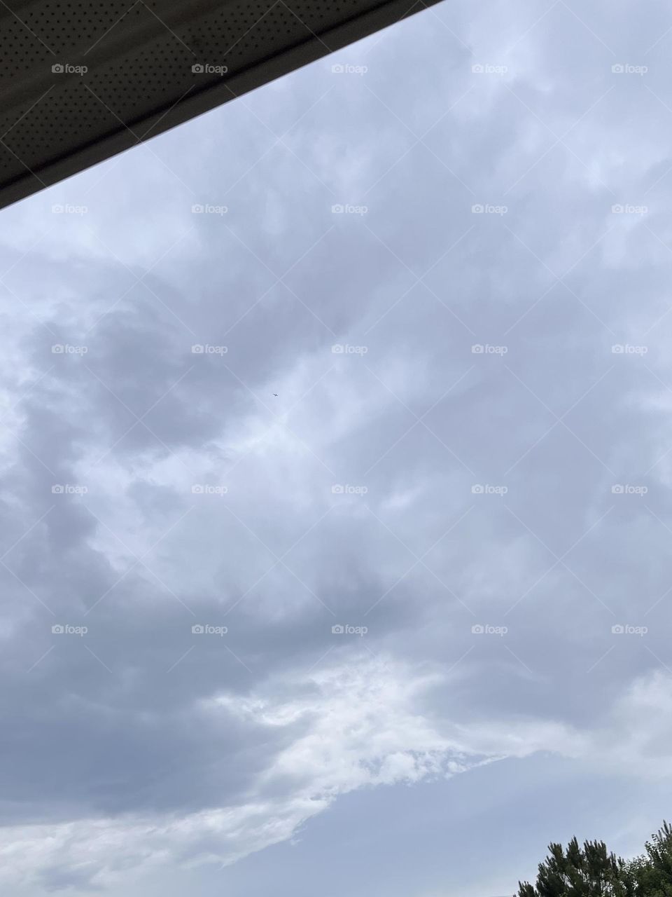 Rain is just confetti from the sky 🌧