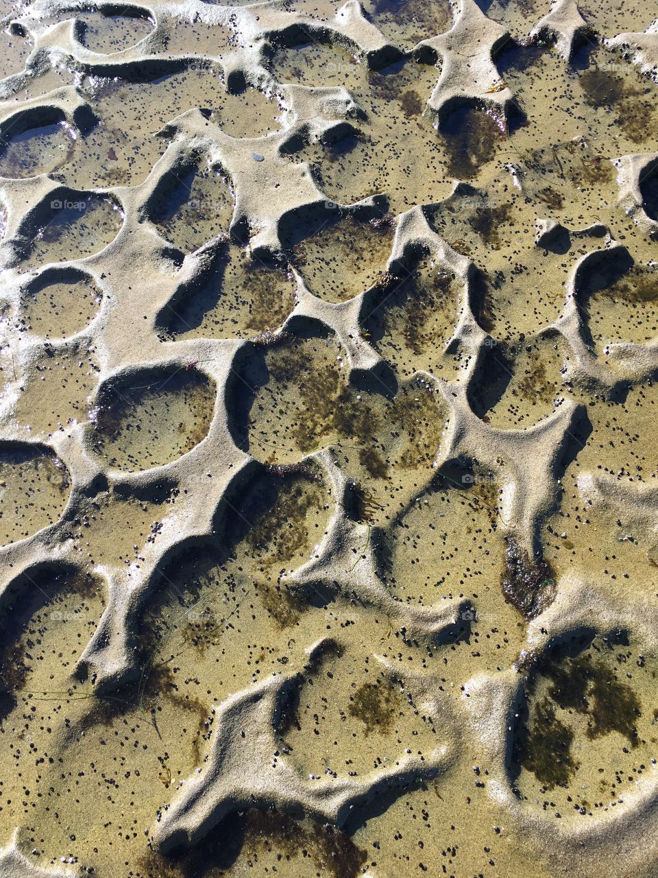 Beach patterns