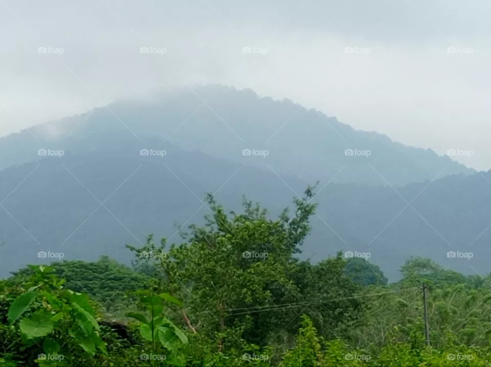 rural