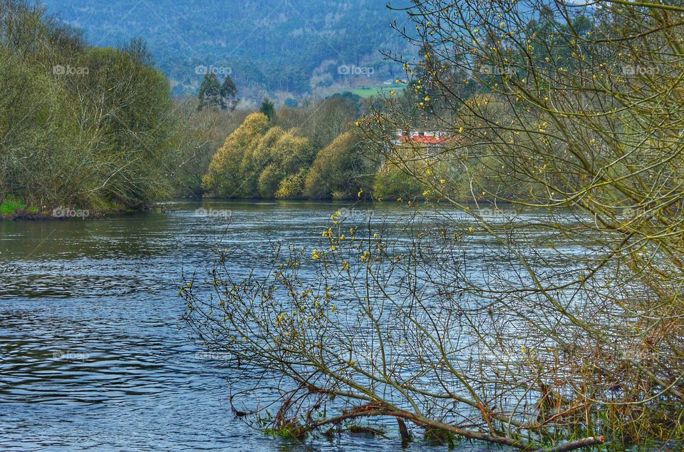 River Ulla. River Ulla, Galicia