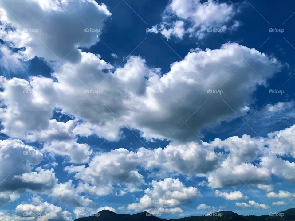 Sunny Blue Sky 