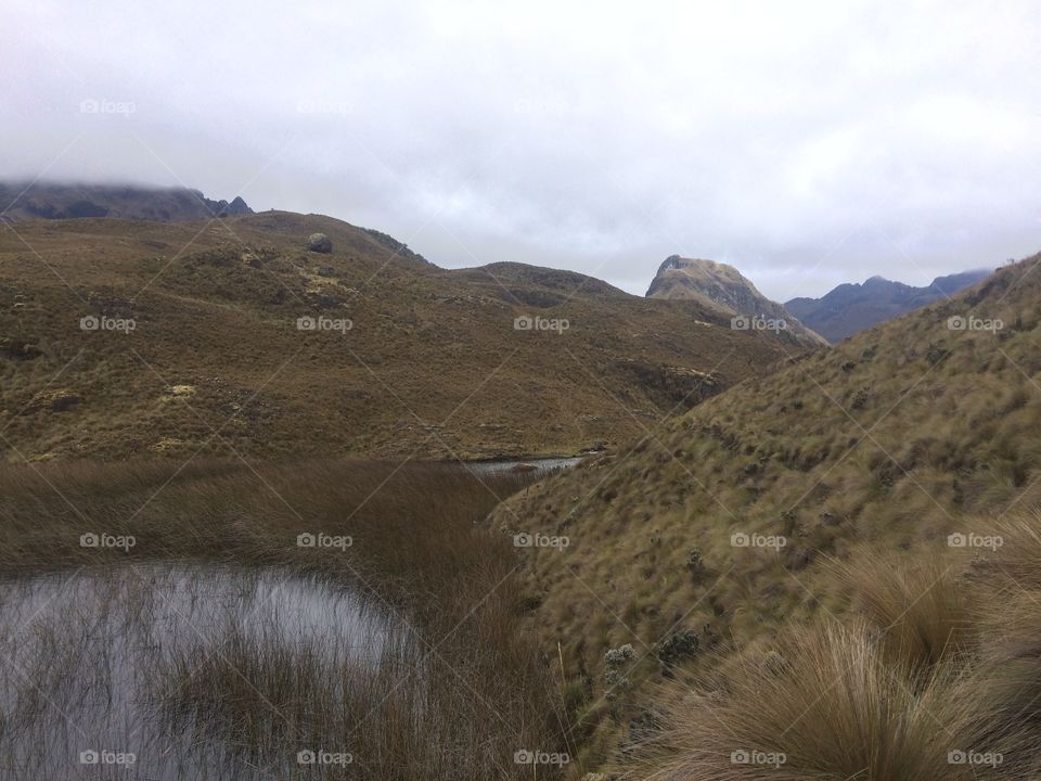 Parque nacional cajas 