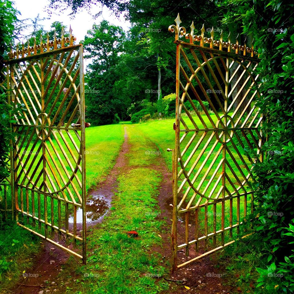 Open gate of lush green garden