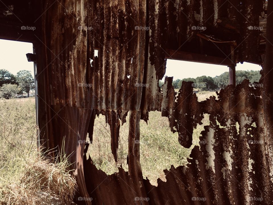 Abandoned Knox Nursery in Florida 