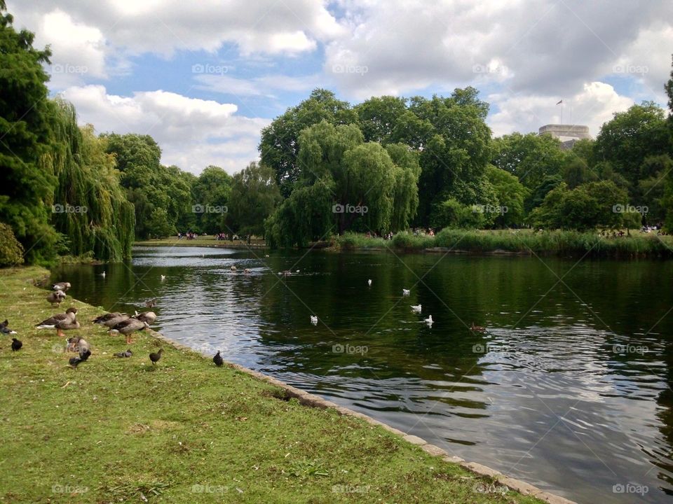 St. James Park, London