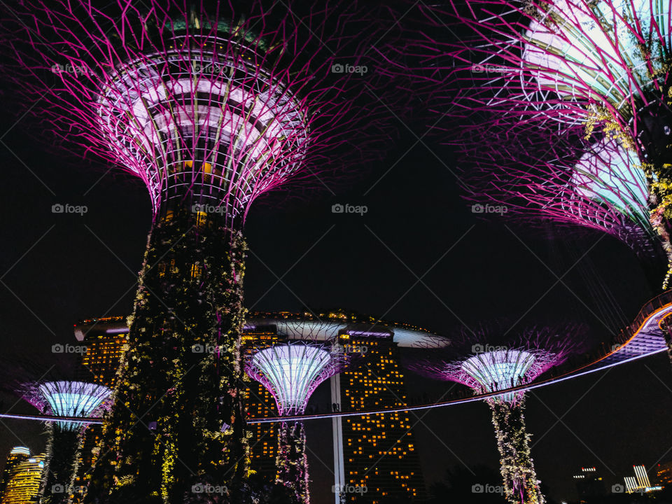 The futuristic Gardens by the Bay