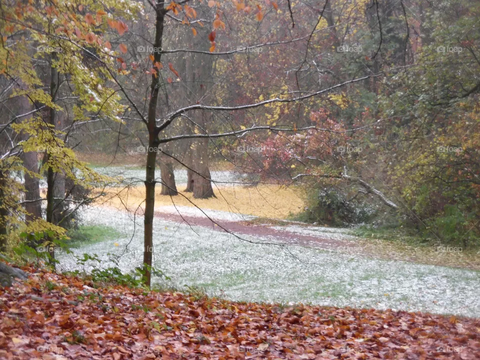 Parc de Mariemont , la Louvière