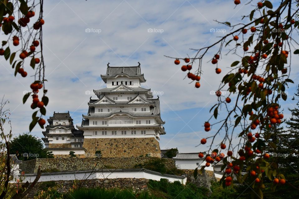 Himeji castle,  Japan