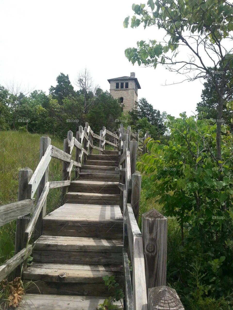 Hiking trail