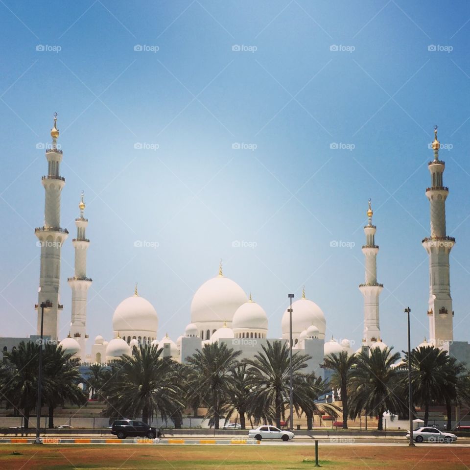 Architecture . Shaikh Zayed Mosque 