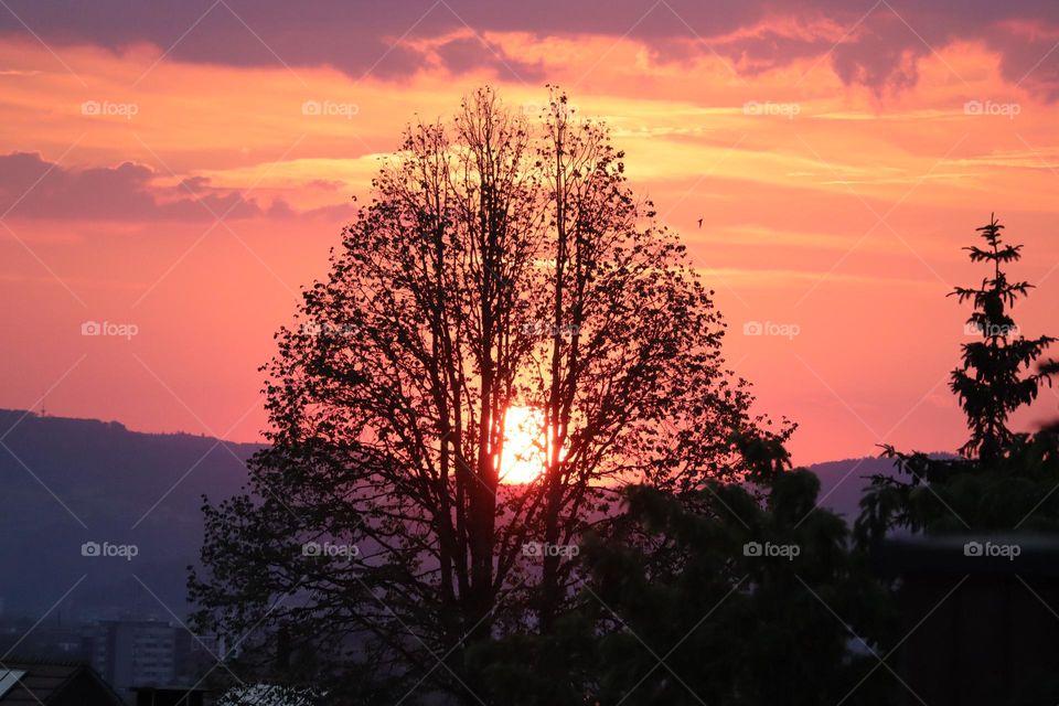 sunset in Winterthur