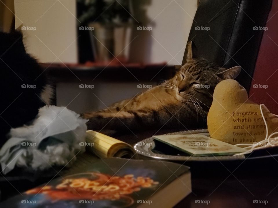 Tabby cat sitting back in a chair like a human with his arms on an end table as he falls asleep sitting back