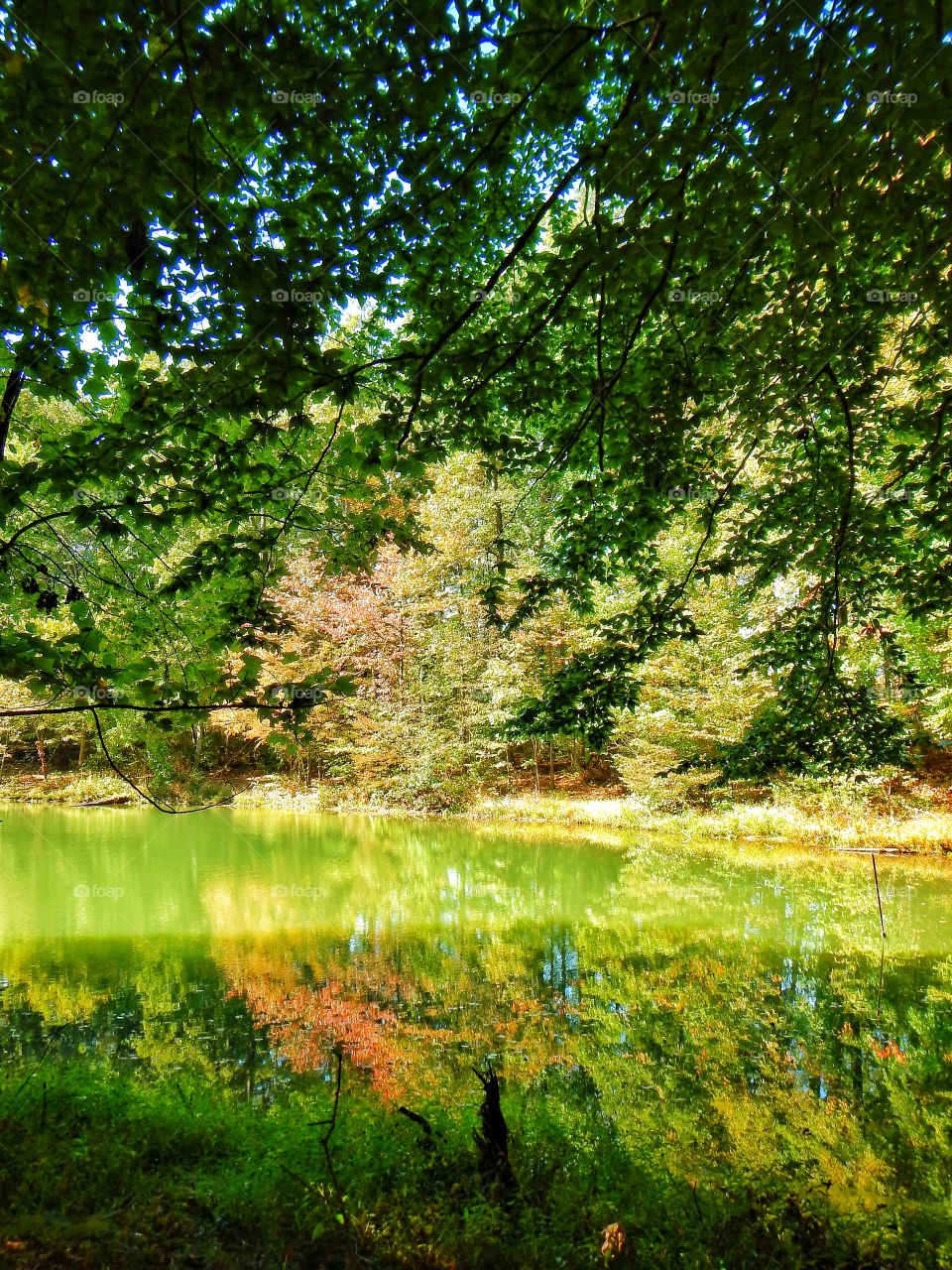 Beautiful Indiana lake in the fall
