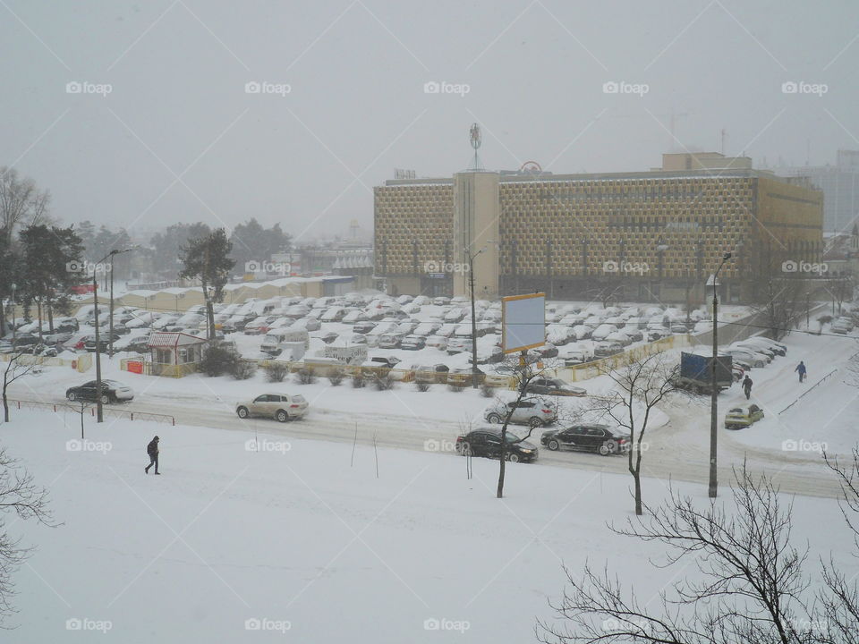 winter landscape in the city of Kiev