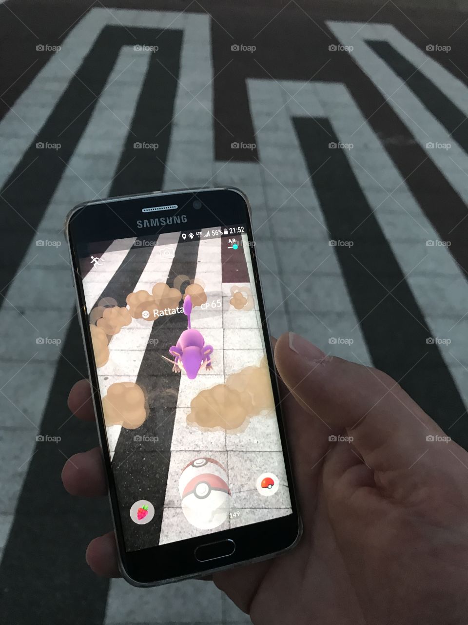 
Pokémon Go