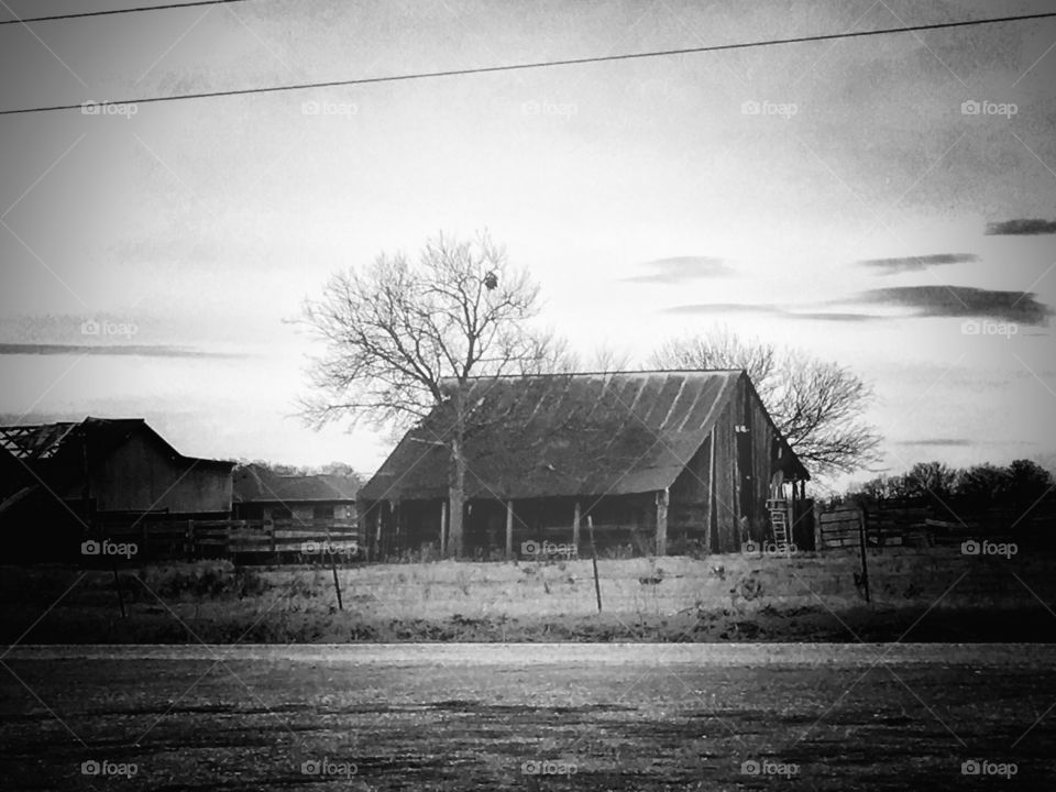 The old barn 