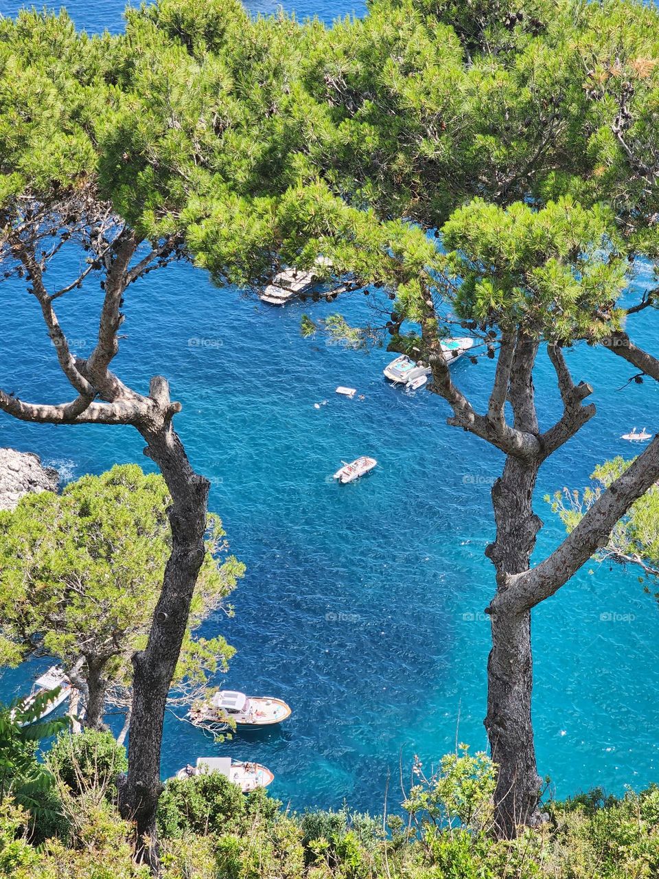 Sea view from Capri island in Italy. Sailing in blue Heaven, beneath the trees, stopping place for yachts.