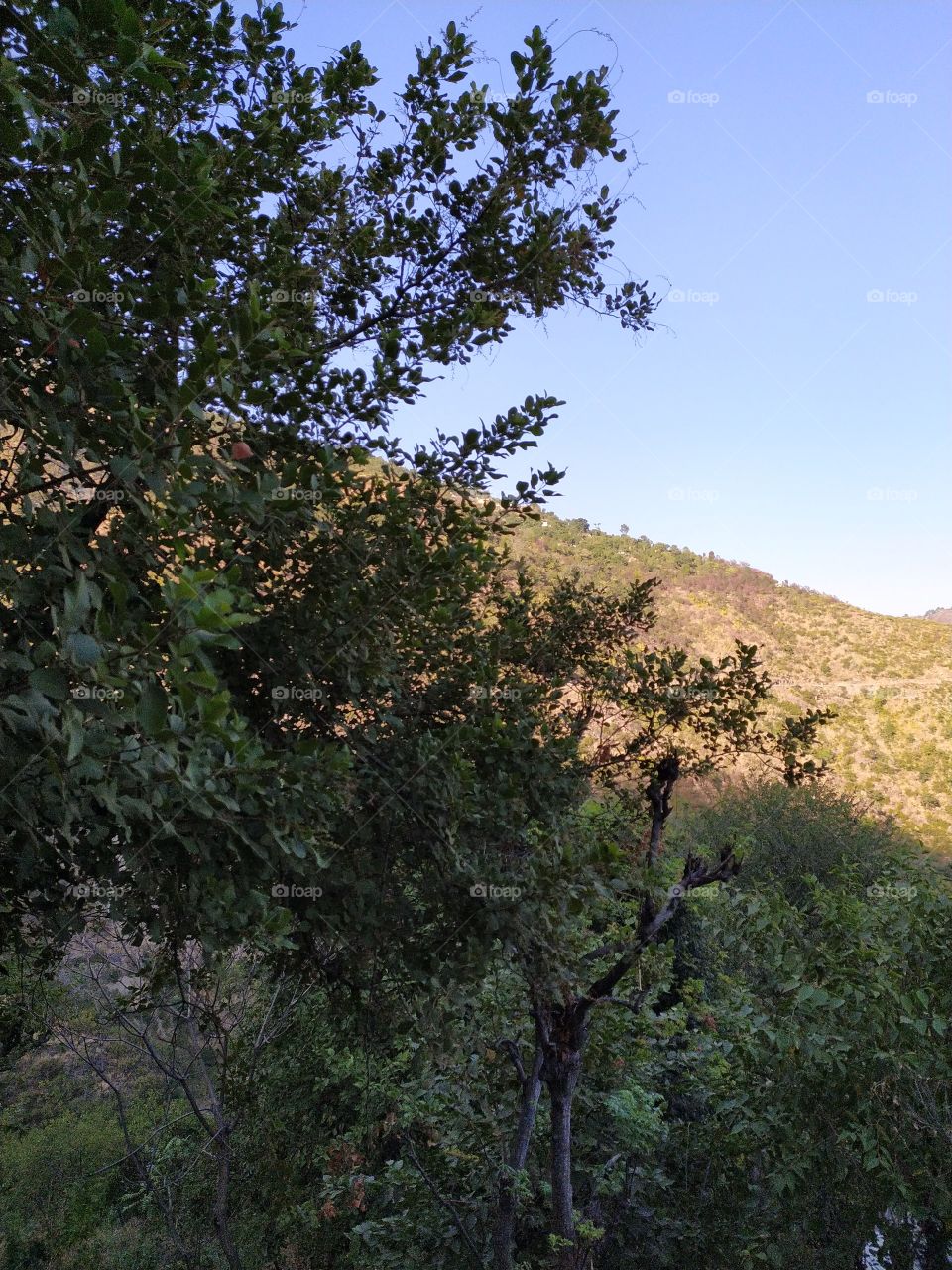 View at the sunset hour