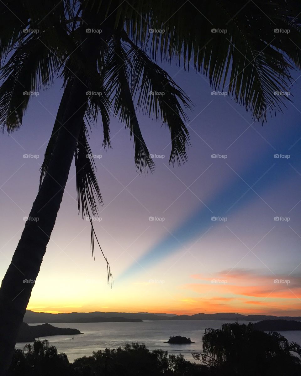 Palm tree sunset at Hamilton Island
