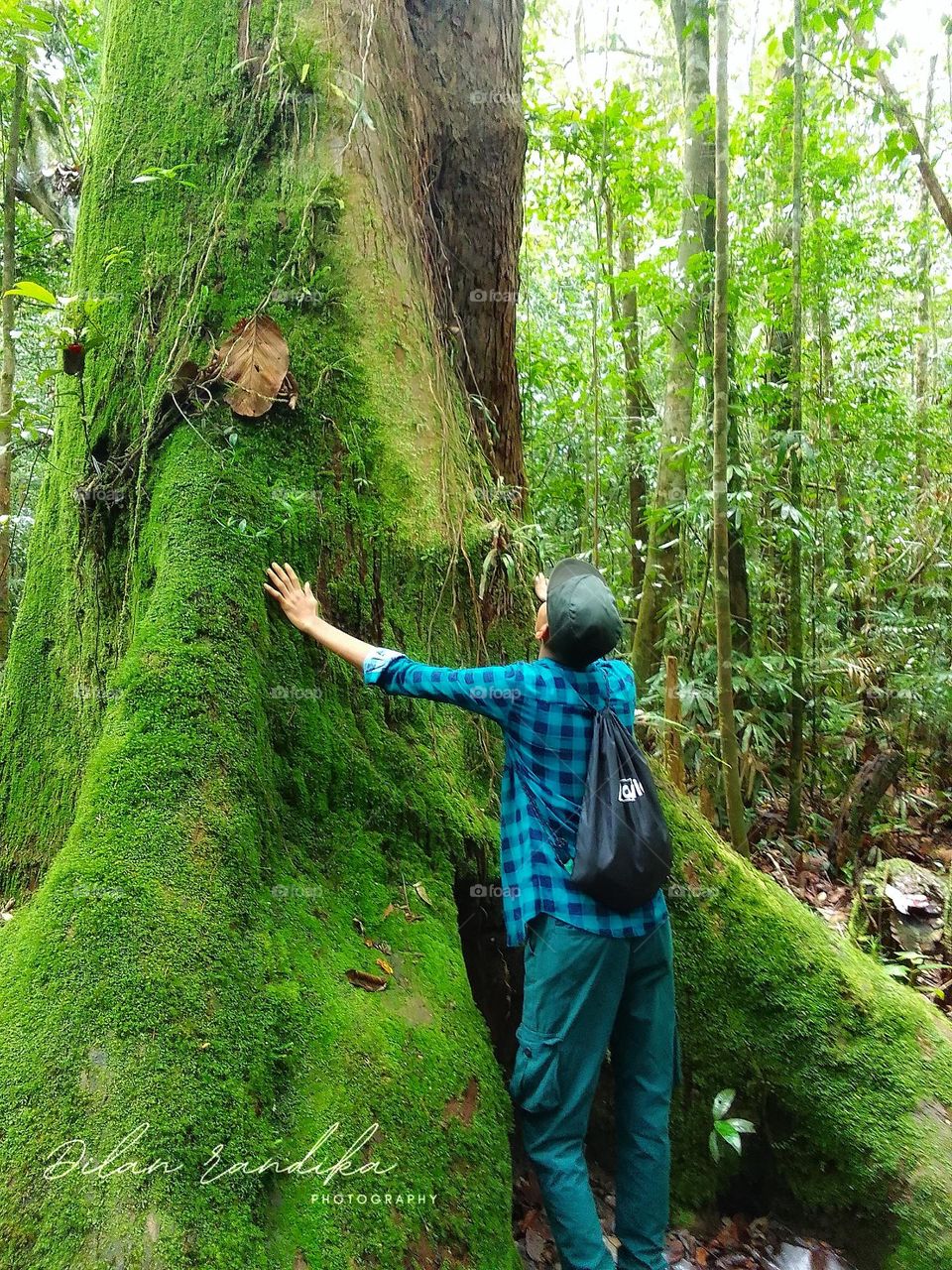 Kanneliya rain forest sri lanka .
beautiful place