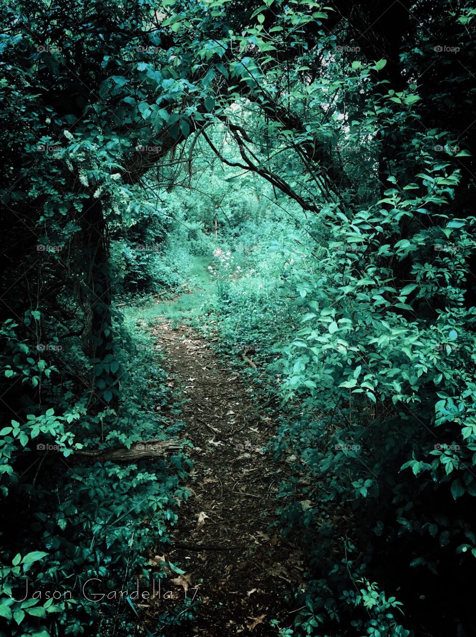 Through trails of green