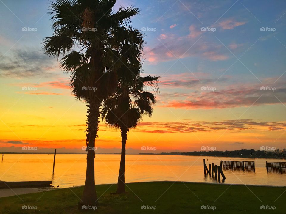 No Person, Beach, Sand, Seashore, Water