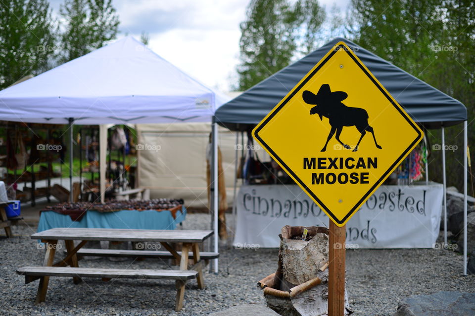 Mexican moose