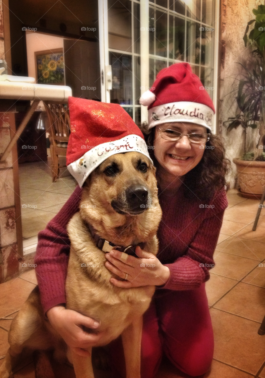 party red dog christmas by analia