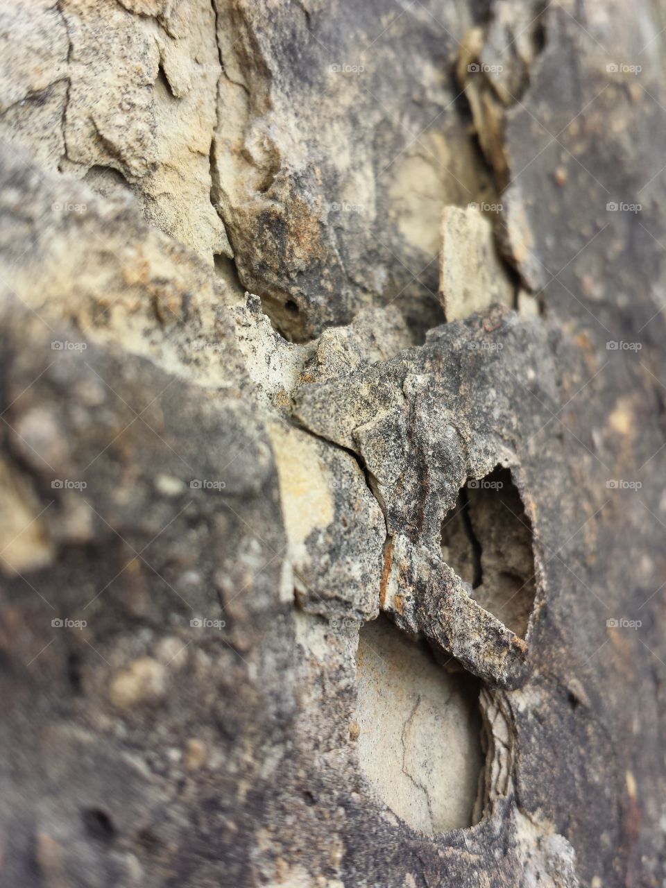 Full frame of dry and cracked tree trunk