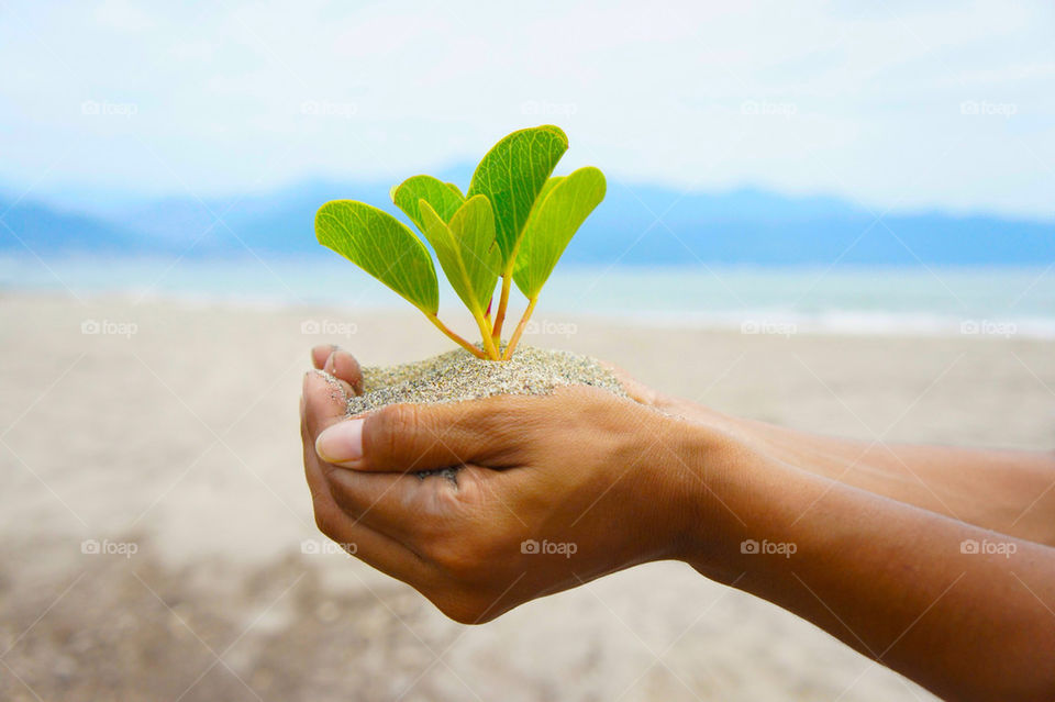 beach green woman flower by kbuntu