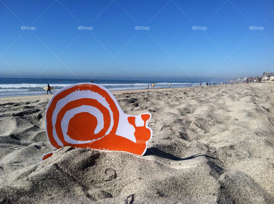 ocean surf hermit woods winery snail. beach. sand by bobmanley